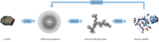 Protein Crystalization